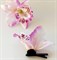 Комплект двух заколок "Тропический цветок Орхидея", белый с фиолетовой каймой - фото 10003