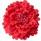 Заколка - брошь цветок Пион, диаметр 11 см, красная - фото 10994