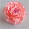 Заколка - брошь цветок Пион, диаметр 11 см, персик - фото 11420