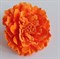 Заколка - брошь цветок Пион, диаметр 11 см, оранжевая - фото 11421