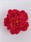 Брошь цветок Пион, красный - фото 11538